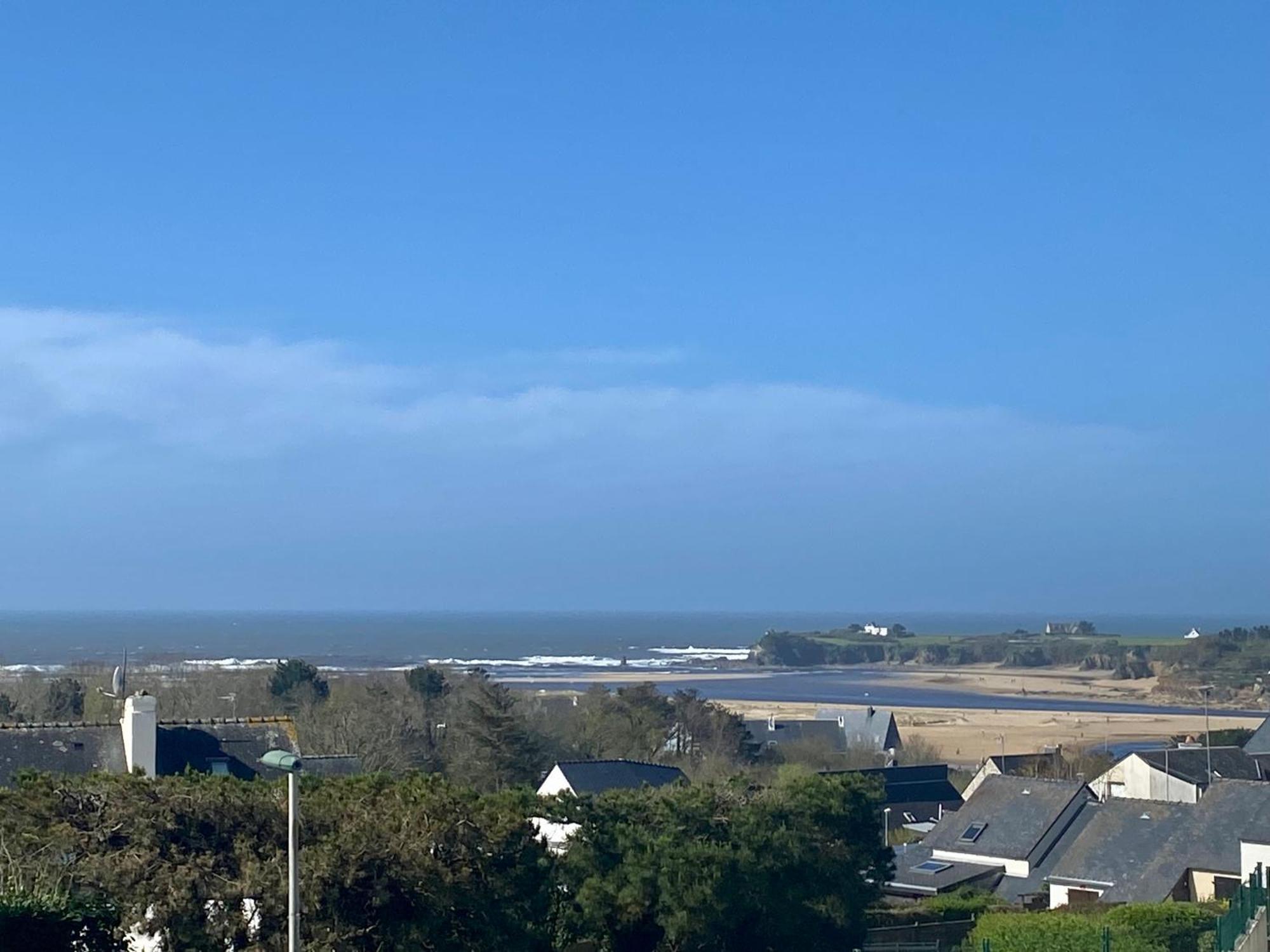 Blue Horizon Vue *